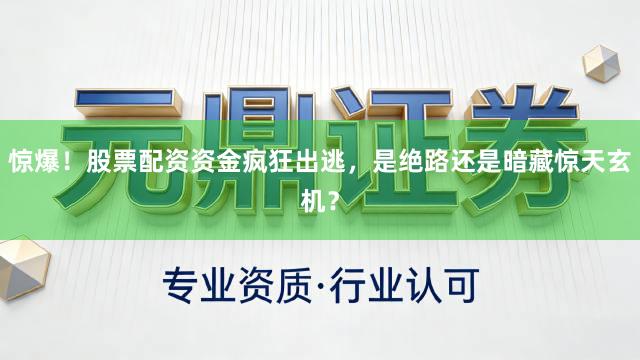 惊爆！股票配资资金疯狂出逃，是绝路还是暗藏惊天玄机？