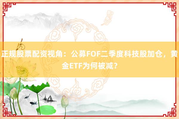正规股票配资视角：公募FOF二季度科技股加仓，黄金ETF为何被减？