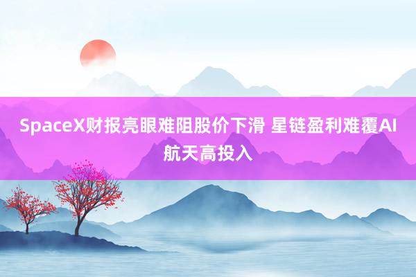 SpaceX财报亮眼难阻股价下滑 星链盈利难覆AI航天高投入