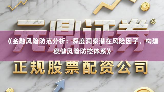 《金融风险防范分析：深度洞察潜在风险因子，构建稳健风险防控体系》