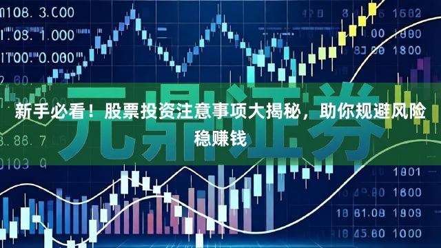新手必看!股票投资注意事项大揭秘,助你规避风险稳赚钱