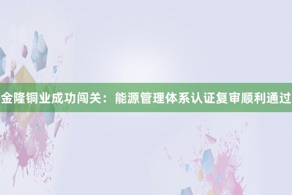 金隆铜业成功闯关：能源管理体系认证复审顺利通过