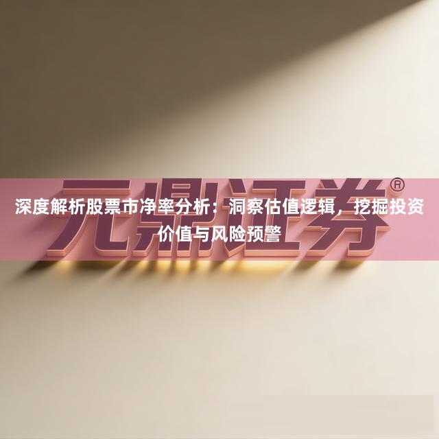 深度解析股票市净率分析：洞察估值逻辑，挖掘投资价值与风险预警
