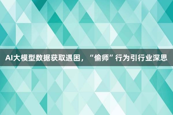 AI大模型数据获取遇困,“偷师”行为引行业深思
