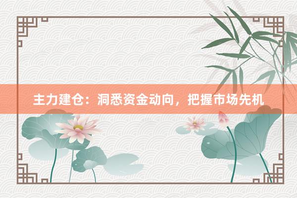 主力建仓:洞悉资金动向,把握市场先机