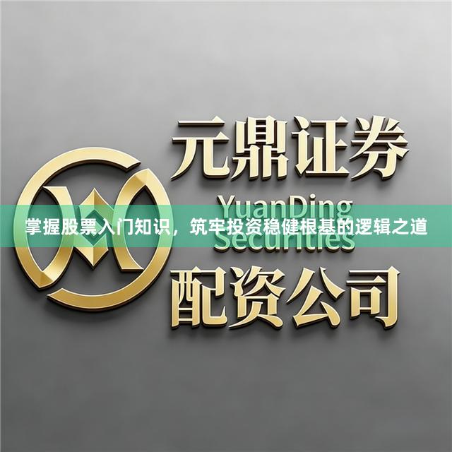 掌握股票入门知识，筑牢投资稳健根基的逻辑之道