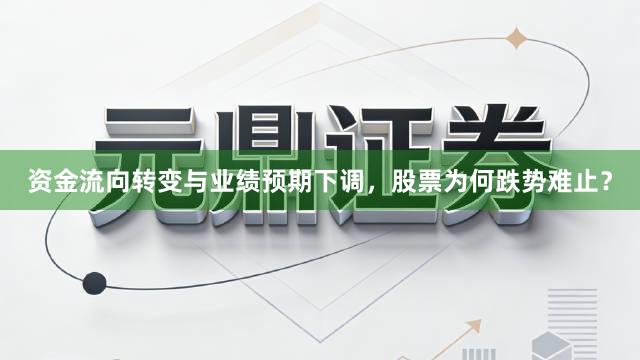 资金流向转变与业绩预期下调，股票为何跌势难止？