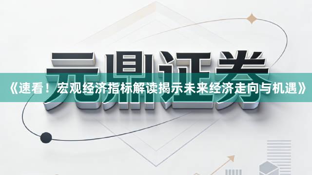 《速看！宏观经济指标解读揭示未来经济走向与机遇》