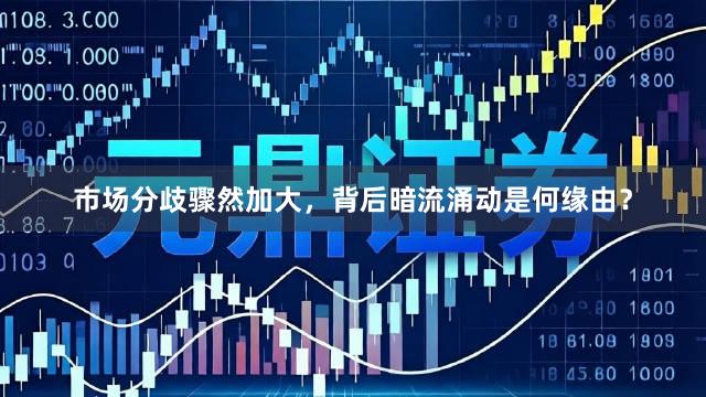 市场分歧骤然加大，背后暗流涌动是何缘由？