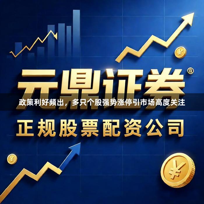 政策利好频出，多只个股强势涨停引市场高度关注