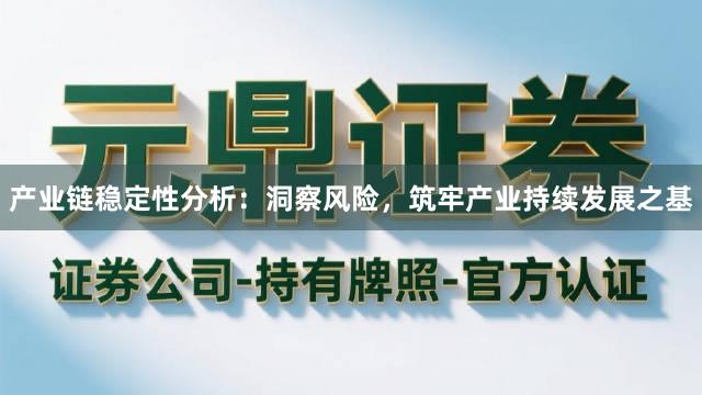 产业链稳定性分析：洞察风险，筑牢产业持续发展之基